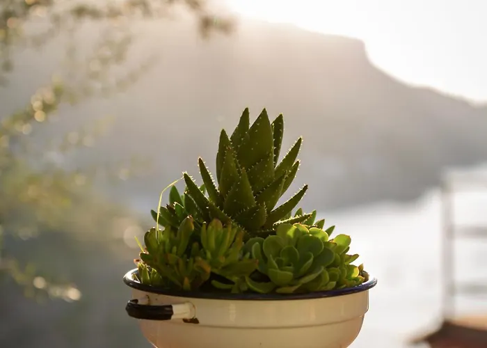 ベッド・アンド・ブレックファスト Orto Paradiso