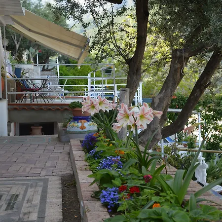 Orto Paradiso Oda ve Kahvaltı