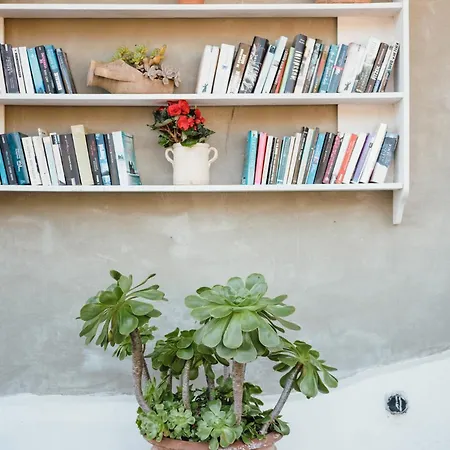 Orto Paradiso Minori