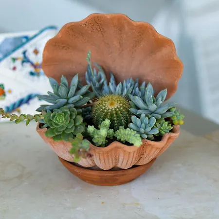 Orto Paradiso 4* Minori