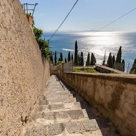 Orto Paradiso Minori