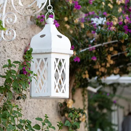 Orto Paradiso Oda ve Kahvaltı Minori