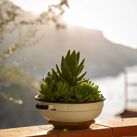 Bed & Breakfast Orto Paradiso