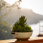 Bed & Breakfast Orto Paradiso