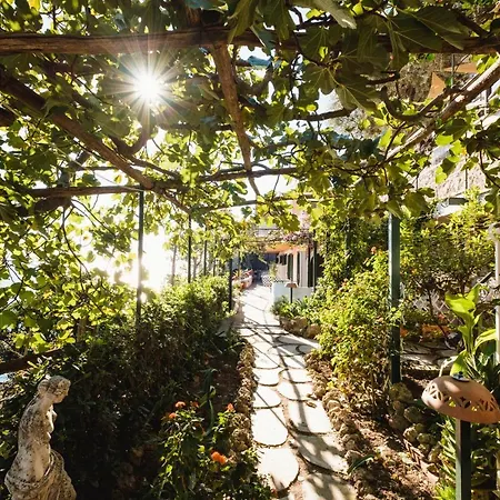 Orto Paradiso 3* Minori